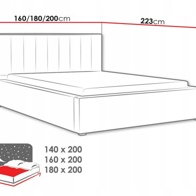 Manželská postel s úložným prostorem a roštem 200x200 TARNEWITZ 2 - černá