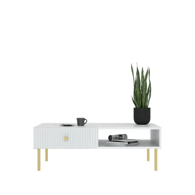 Konferenční stolek HASKEL - bílý + zlatý
