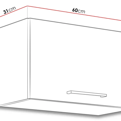 Horní uzavřená kuchyňská skříňka 60 cm ZHILAN 1 - dub lancelot / lesklá bílá