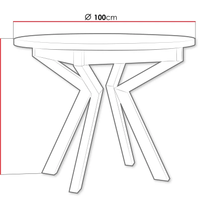 Malý kulatý jídelní stůl 100 cm ALVARADO 7 - bílý / černý