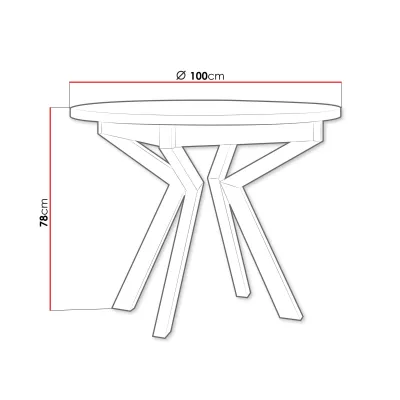 Malý kulatý jídelní stůl 100 cm ALVARADO 7 - bílý / černý