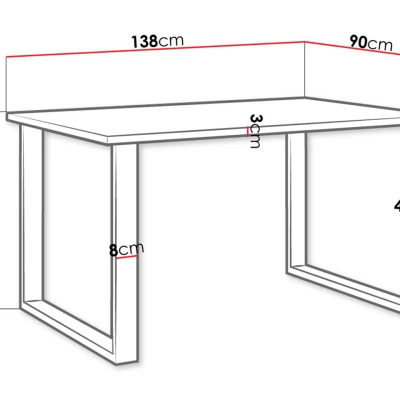 Jídelní stůl 138x90 cm IZMIR - bílý / černý