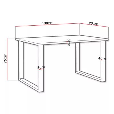 Jídelní stůl 138x90 cm IZMIR - bílý / černý
