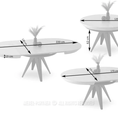 Rozkládací jídelní stůl 120(220)x120 OMAR - dub / černý